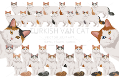 Turkish Van cat clip art Product Image 1