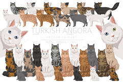 Turkish Angora cat Product Image 1