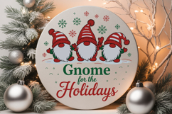 Gnome For The Holidays Product Image 2