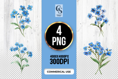 Forget Me Not Flower Clipart PNG Product Image 1