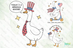 4th of July Silly Goose SVG PNG Product Image 1