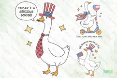 4th of July Silly Goose SVG PNG Product Image 1