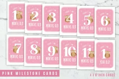 Baby Milestones for Baby Girl Photo Booth Props Product Image 1