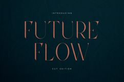 Future Flow Elegant Cut Serif Typeface Product Image 1