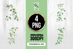 Watercolor Ivy Hanging Plant Clipart Sublimation PNG Product Image 1
