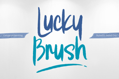 Lucky Brush Product Image 1