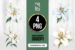 White Lily Flower Clipart Sublimation PNG Product Image 1