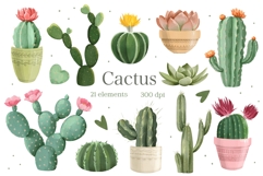 Watercolor Cactus Clipart , Succulent PNG, Desert Plants Product Image 1