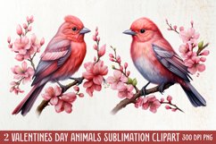 Valentines Day Animals Clipart, Valentines Couple Product Image 2