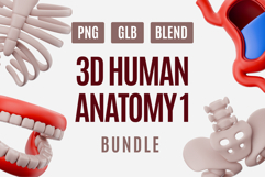 Human Anatomy 3D Model Pack 01 Product Image 1