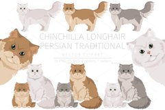 Chinchilla Persian Longhair Traditional clipart Product Image 1