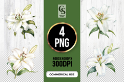 White Lily Flower Clipart Sublimation PNG Product Image 1