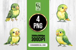 Cute Baby Parrot Watercolor Clipart Sublimation PNG Product Image 1