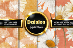 Daisies Digital Papers - 04 Variations Product Image 1