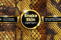 Snake Skin Digital Papers - 04 Variations Product Image 1