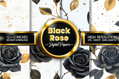 Black Rose Digital Papers - 04 Variations Product Image 1