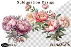 Watercolor Pink Peonies Flowers Clipart Product Image 1