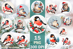 Birds Christmas Sublimation PNG Bundle Product Image 1