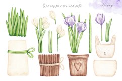 Watercolor Set “Spring Flowers&quot; Product Image 2