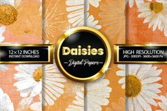 Daisies Digital Papers - 04 Variations Product Image 1