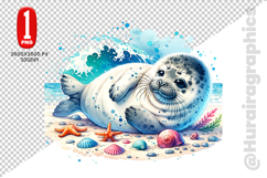 Cute Seal Clipart - PNG File Product Image 2