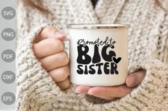 Promoted to Big Sister SVG Cut Files/ Sister Quote SVG Product Image 2