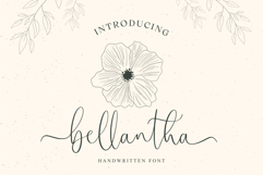 Bellantha Product Image 1
