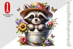 Cute Raccon Clipart - PNG File Product Image 1
