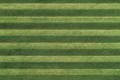 Striped Green Grass Field Texture Background Product Image 1