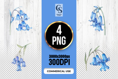 Blue Bellflower Botanical Illustration Clipart PNG Product Image 1
