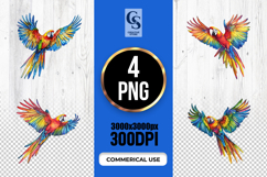Colorful Flying Macaw Parrot Illustration Clipart Sublimatio Product Image 1