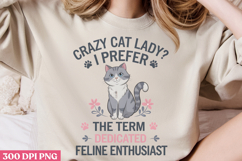 Crazy Cat Lady i Prefer The Term PNG, Funny Animal Jokes Product Image 2