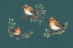 Watercolor Robin cliparts. 5 PNG sublimation Product Image 2