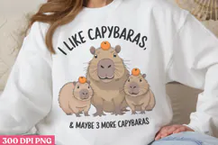 I Like Capybaras & maybe PNG, Funny Capybara Sublimation PNG Product Image 1