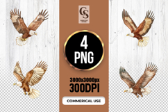 Soaring Bald Eagle Illustration Clipart Sublimation PNG Product Image 1