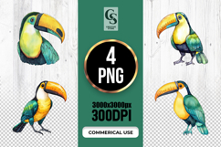 Toucan Bird Clipart PNG Product Image 1