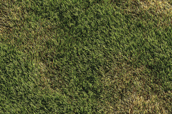 Natural Green Grass Patch Texture Background Product Image 1