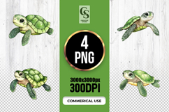 Green Sea Turtle Wildlife Clipart Sublimation PNG Product Image 1
