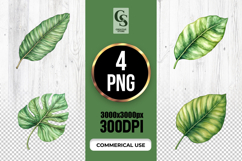 Watercolor Tropical Leaf Clipart Sublimation PNG Product Image 1