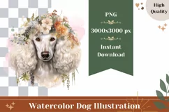 Watercolor Poodle Dog Illustration, Poodle Dog Sublimation Product Image 1