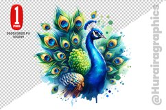 Cute Peacock Clipart - PNG File Product Image 1