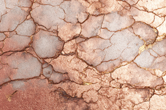 A dry cracked earth surface Product Image 1