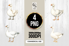 Watercolor White Goose Clipart Sublimation PNG Product Image 1