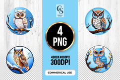 Cute Winter Owl Clipart Sublimation PNG Product Image 1