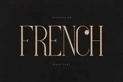 French Elegant Modern Serif Font Product Image 1