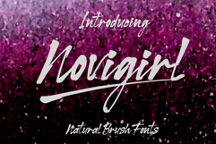 Novigirl Brush Product Image 5