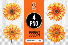 Orange Daisy Flower Clipart Sublimation PNG Product Image 1