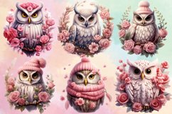 Christmas Owl Clipart Bundle, Christmas Owl Bundle Product Image 2