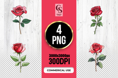 Pink Red Rose Floral Clipart Sublimation PNG Product Image 1