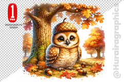 Cute Owl Clipart - PNG File Product Image 2